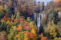 Pistyll Rhaeadr waterfall in autumn - highest in Wales near Llanrhaeadr-ym-Mochnant, Powys, North Wales, UK, November 2016.