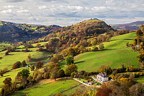 View west from the Panorama walk on the Offa's Dyke path on Ruabon Mountain showing the ruins of Castell Dinas Bran on top of hill near LLangollen North Wales, UK, November 2016.