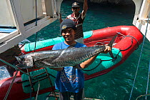 Indonesian fisherman holding a dogtooth fish, (Gymnosarda unicolor) Raja Ampat, Indonesia.