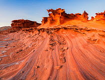 Eroded salt laden sandstone fins in incredible sculpted shapes form an area known as 'Little Finland', Gold Butte National Monument, Nevada, USA.  President Barack Obama designated the monument on Dec...
