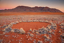 Fairy circle at sunset in the Namib Desert, Namibia.   It has recently been  found that these patterns are caused by a mixture of termites combined with the action of grasses competing for water.