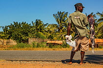 Man standing at the side of the road to sell the morning's haul of squid. Mozambique. June 2011