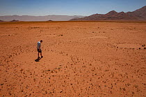 Researcher stands in a fairy circle in the Namib Desert, Namibia. These patterns have recently found that these patterns are caused by a mixture of termites, combined with the action of grasses completing for water. February 2015