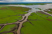 Aerial view of the edge of Lake Urema, Gorongosa National Park, Mozambique. July 2014