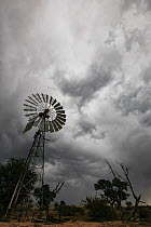 Windmill under a gathering thunderstorm in the Kalahari Desert, South Africa. These traditional windmills are still used to raise groundwater for use in the home and to fill animal troughs. May 2011