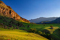 Afternoon light hits the slopes of the Drakensberg escarpment in the Ukhahlamba-Drakensberg World Heritage Site, South Africa.