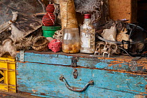 Marketplace in Mbabane selling animal body parts including sea star, the shell of a sea turtle, a snake skin, porcupine quills, a desiccated blowfish, the skin of a hedgehog, a coral, the fur of a spo...