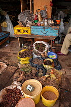 Marketplace in Mbabane selling animal body parts including sea star, the shell of a sea turtle, a snake skin, porcupine quills, a desiccated blowfish, the skin of a hedgehog, a coral, the fur of a spo...