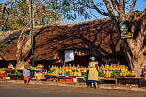 A fruit and vegetable market in St. Lucia, South Africa.
