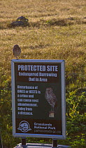 Burrowing owl (Athene cunicularia) on sign warning visitors about burrowing owl nest site in the area. Grasslands National Park, Val Marie, Saskatchewan, Canada.