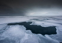 Ice covering the surface in Liefdefjorden, Svalbard, Norway, March.