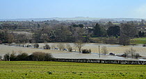 Cars driving on road flooded by the River Avon overflowing its banks, Staverton, near Trowbridge, Wiltshire, UK, February 2014.
