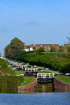 Flight of 16 locks up a steep hill on the Kennet and Avon canal, Caen Hill, Devizes, Wiltshire, UK, April 2014.