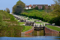 Flight of 16 locks up a steep hill on the Kennet and Avon canal, Caen Hill, Devizes, Wiltshire, UK, April 2014.