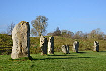 Neolithic megaliths, Avebury Stone Circle, Wiltshire, UK, February 2014.