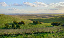Overview of Salisbury Plain chalk downland M.O.D firing ranges, Wiltshire, UK, October 2013.