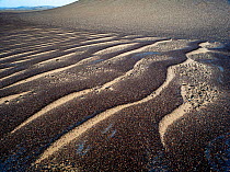 Black sands over-laying the beige sand dunes, Skeleton Coast National Park, Namibia. November 2009.