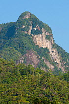 Morne Blanc mountain and pristine tropical rainforest, Morne Seychelles National Park, Mahe Island, Republic of Seychelles