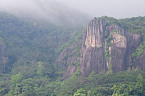 Pristine tropical rainforest and granite cliffs in mist, Morne Seychelles National Park, Mahe Island, Republic of Seychelles