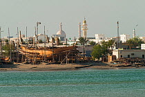 Sur, a city at the coast of Oman, with mosques and a traditional dock for the construction of wooden boats, Sultanate of Oman, February.