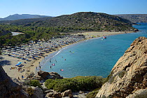 Overview of Vai beach and its Cretan Date Palm (Phoenix theophrasti) forest in peak tourism season, Lasithi, eastern Crete, Greece, July.
