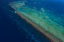 Aerial view of southern Belize barrier reef, showing Gladden Spit, where there is a sharp bend in the reef, and showing spur and groove coral formations outside of the reef crest. Gladden Spit and Sil...