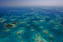 Aerial view of small sand and coral cayes and coral bommies inside southern Belize barrier reef in vicinity. Near Placencia, Belize Barrier Reef Reserve System UNESCO Natural World Heritage Site, Cent...