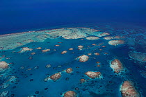Aerial view of southern Belize barrier reef, showing Gladden Spit, where there is a sharp bend in the reef, Gladden Spit and Silk Cayes Marine Reserve, off Placencia. Belize Barrier Reef Reserve Syste...