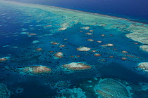 Aerial view of southern Belize barrier reef, showing Gladden Spit and Silk Cayes Marine Reserve. UNESCO Natural World Heritage Site, Belize, Central America. Caribbean Sea.