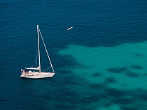 Boat over on the Mediterranean sea with patches of darker waters showing beds of Mediterranean seagrass (Posidonia oceanica), Western Mediterranean Sea, Ibiza UNESCO World Heritage Site, Spain
