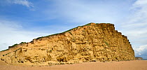 Sandstone cliffs at West Bay, Jurassic coast, a UNESCO World Natural Heritage site, Bridport, Dorset, UK, May.