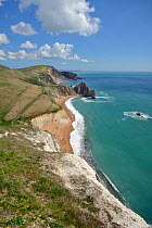 View east from the chalk cliffs of Swyre Head to Durdle Door, UNESCO World Natural Heritage Site, Jurassic coast, Dorset, UK, April.