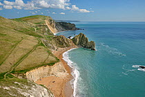 View east from the chalk cliffs of Swyre Head to Durdle Door, UNESCO World Natural Heritage Site, Jurassic coast, Dorset, UK, April.