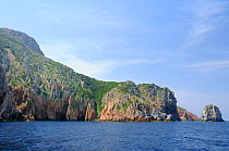 Capo Rosso / Red Cape red granite headland at the southern end of the Gulf of Porto, part of a UNESCO World Natural Heritage Site within Corsica's National Park (Parc Naturel Regional de Corse),  near...