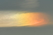 Parhelion or sundog phenomenon, caused by refraction of sunlight through ice crystals in either clouds of freezing moist air. France, December 2016.