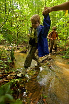 Jessica Laman walking other creek, with brother Russell Laman behind, Gunung Palung National Park, Borneo. August 2010 Model released.