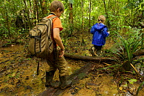 Russell and Jessica Laman hiking in the rain forest, Gunung Palung National Park, Borneo. August 2010 Model released.