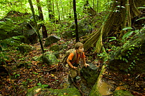 Russell Laman hiking in rainforest, Gunung Palung National Park, Borneo. August 2010 Model released.