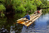 Loggers floating wood, Most likely cut illegally inside the park, down the Rantau Panjang River, Gunung Palung National Park, Borneo.