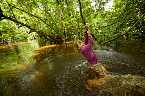 Jessica Laman playing on a vine in the flooded forest along the river during a rest stop on a boat trip in Gunung Palung National Park, Borneo. August 2010