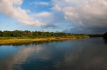 Rio Toa,  near Baracoa,  Alejandro de Humboldt National Park UNESCO Natural  World Heritage Site,  Cuba.