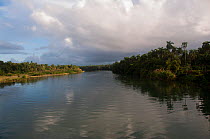 Rio Toa,  near Baracoa,  Alejandro de Humboldt National Park UNESCO Natural  World Heritage Site,  Cuba.