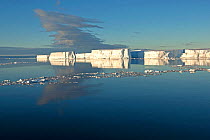 Tabular icebergs on a calm sea, Antarctic Peninsula, Antarctic Sound, Antarctica. December 2015.