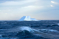 Iceberg in rough seas, Bransfield Strait, Antarctic Peninsula, Antarctica. December 2015.