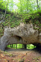 Karst Bridge, a natural limestone arch from, Cretaceous Period with Cainozoic folding located within Primeval Beech Forest, Carpathian Biosphere Reserve, UNESCO World Heritage Site, Zakarpattia Oblast...