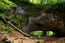 Karst Bridge, a natural limestone arch from, Cretaceous Period with Cainozoic folding located within Primeval Beech Forest, Carpathian Biosphere Reserve, UNESCO World Heritage Site, Zakarpattia Oblast...
