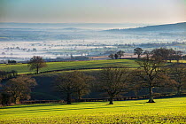 Winter's day near Ludlow, Shropshire, England, UK, December 2014.