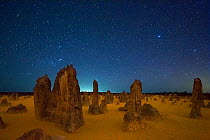 The Pinnacles at night, limestone formations. Nambung National Park, near Cervantes, Western Australia