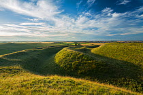 Western ramparts of Maiden Castle, an Iron Age hill fort near Dorchester, Dorset, England, UK, July.