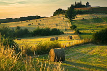 Hay bales in the fields near Beaumont du P�rigord, Pays de Bergerac, Dordogne, Aquitaine, France, June.